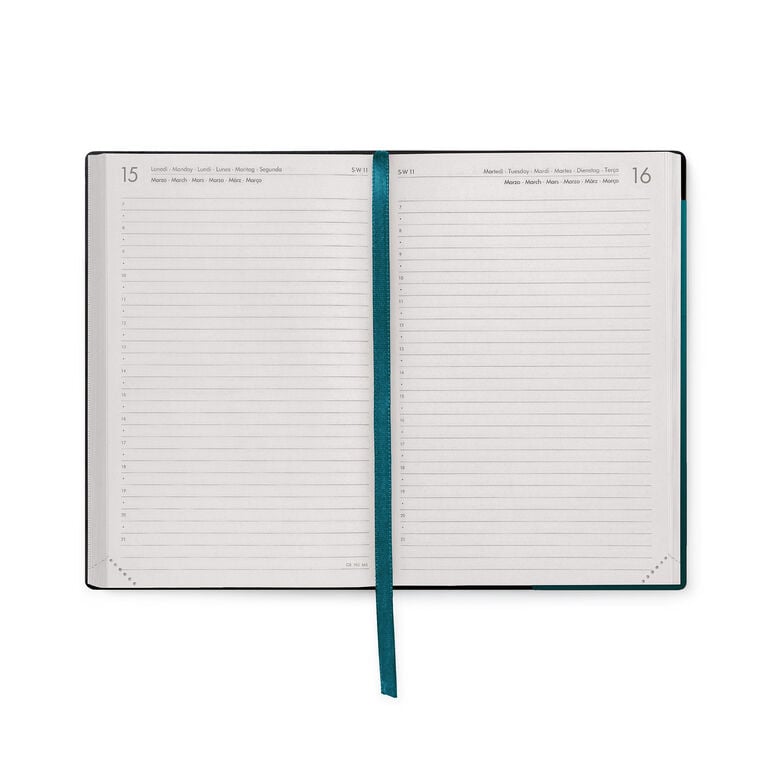 Tagesplaner 2026/2027 für 16 Monate - Deep Teal - Medium