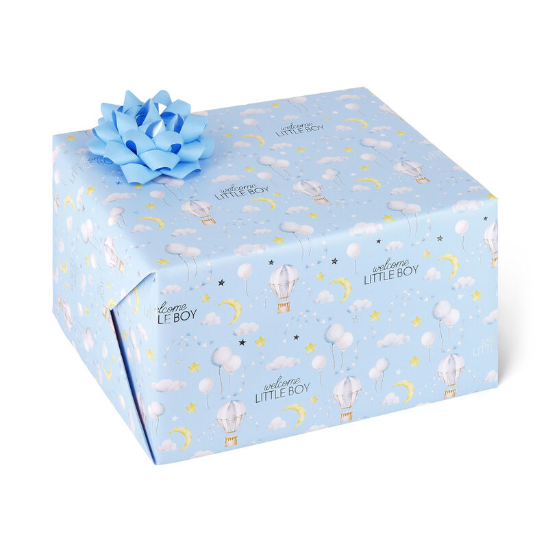 Wrapping Paper, , zoo