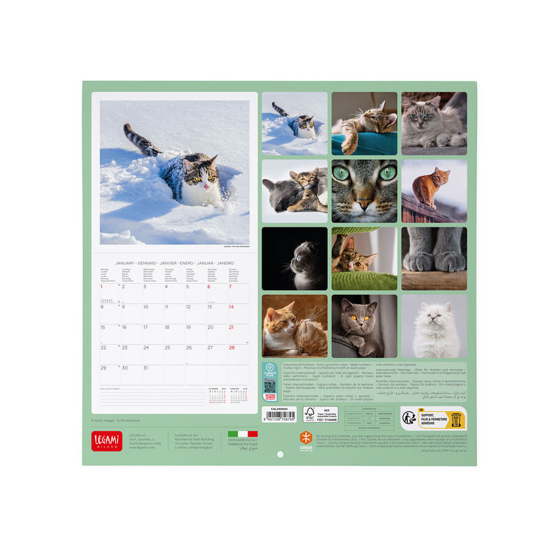 Chats - 2024 Calendrier Mural - Tout Neuf - 601303