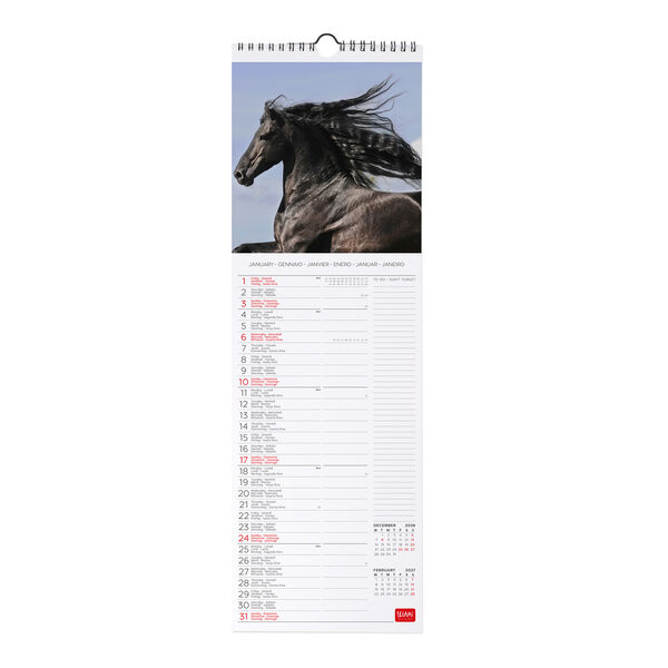 Calendario da Parete 2027 - 16 x 49 cm - Wild Horses