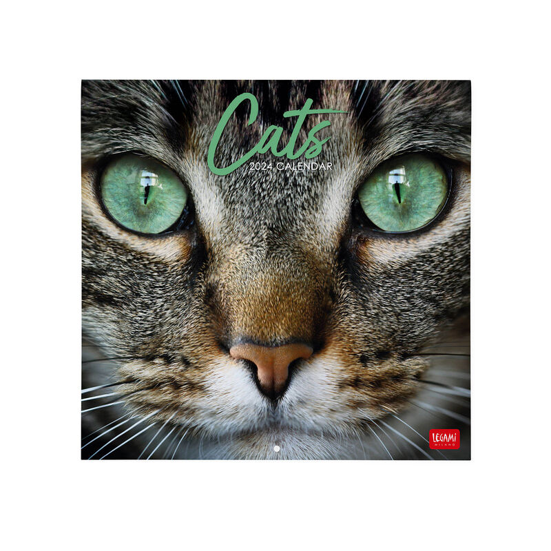 Micro Calendario Da Tavolo Legami 2024 Cats