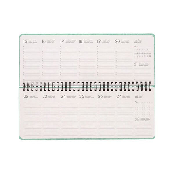13-Month Desk Planner 2027 - Botanic Garden