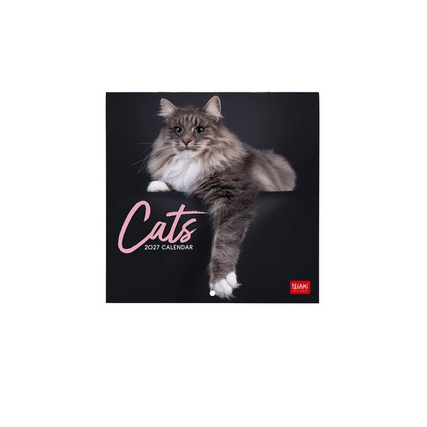 Calendario da Parete 2027 - 18 x 18 cm - Cats