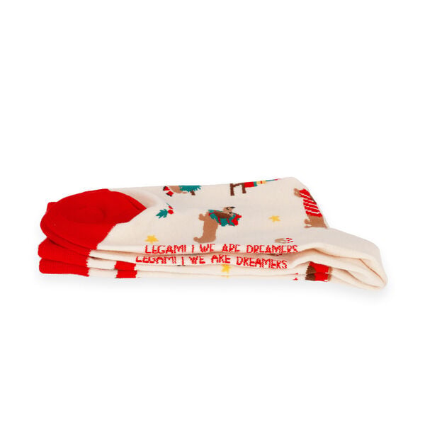 Calzini di Natale Dachshund Taglia 41-47 - It's a Match!