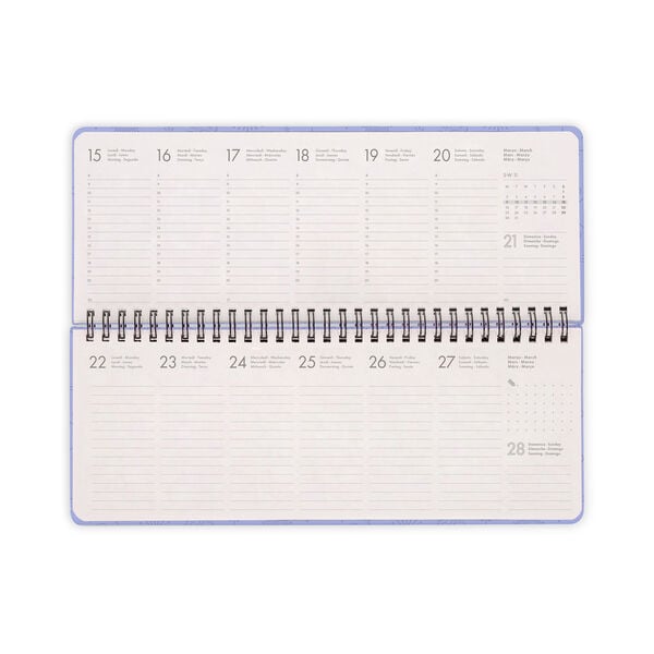 13-Month Desk Planner 2027 - Cosmic Lilac