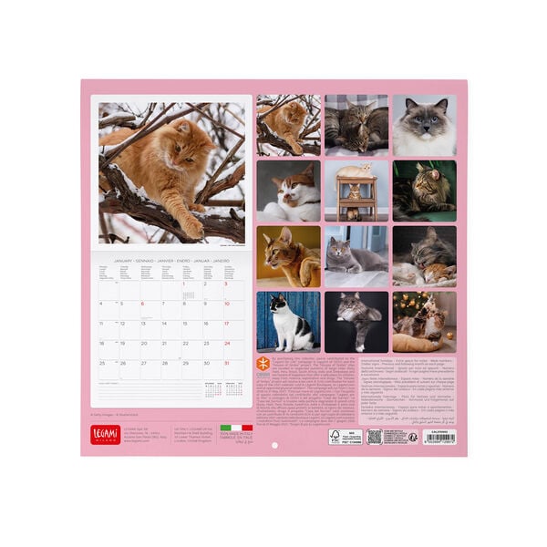 Calendario da Parete 2027 - 30 x 29 cm - Cats