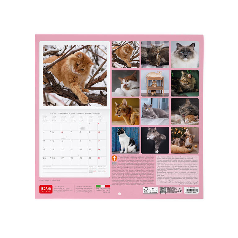 Calendario da Parete 2027 - 30 x 29 cm - Cats Calendario da Parete 2027 - 30 x 29 cm - Cats