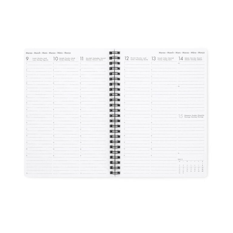 Terminplaner für 12 Monate - Wochenübersicht - Large - Spiralbindung - 2026
