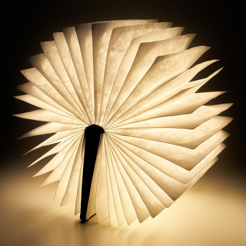 Light Book VINTAGE BOOK_2 | Legami.com