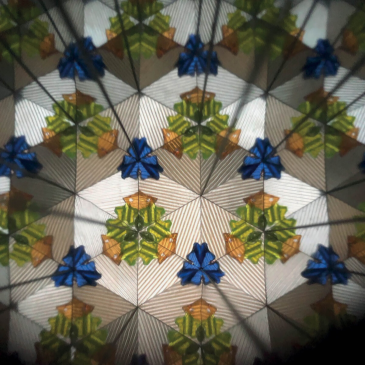 Kaleidoscope, , zoo