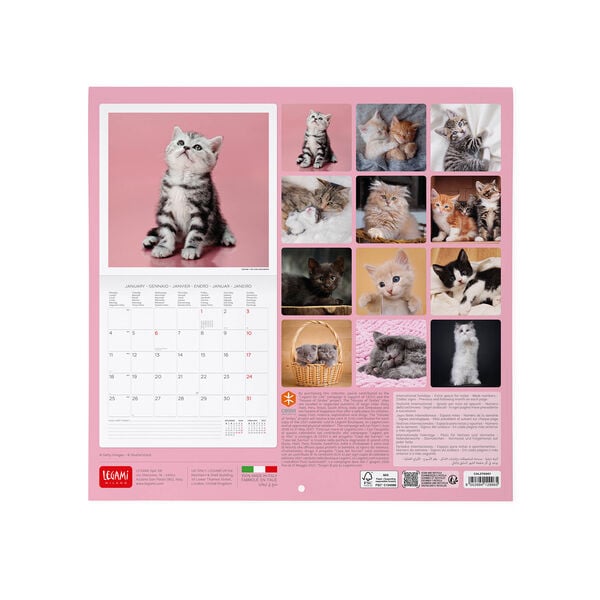 Calendario da Parete 2027 - 30 x 29 cm - Kittens