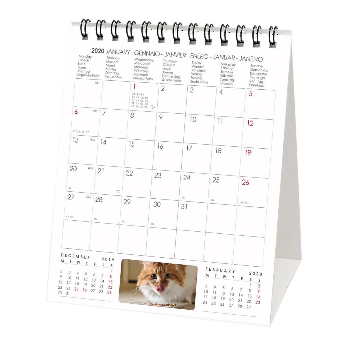 2020 - Desk Calendar - 12X14.5 Cm, , zoo