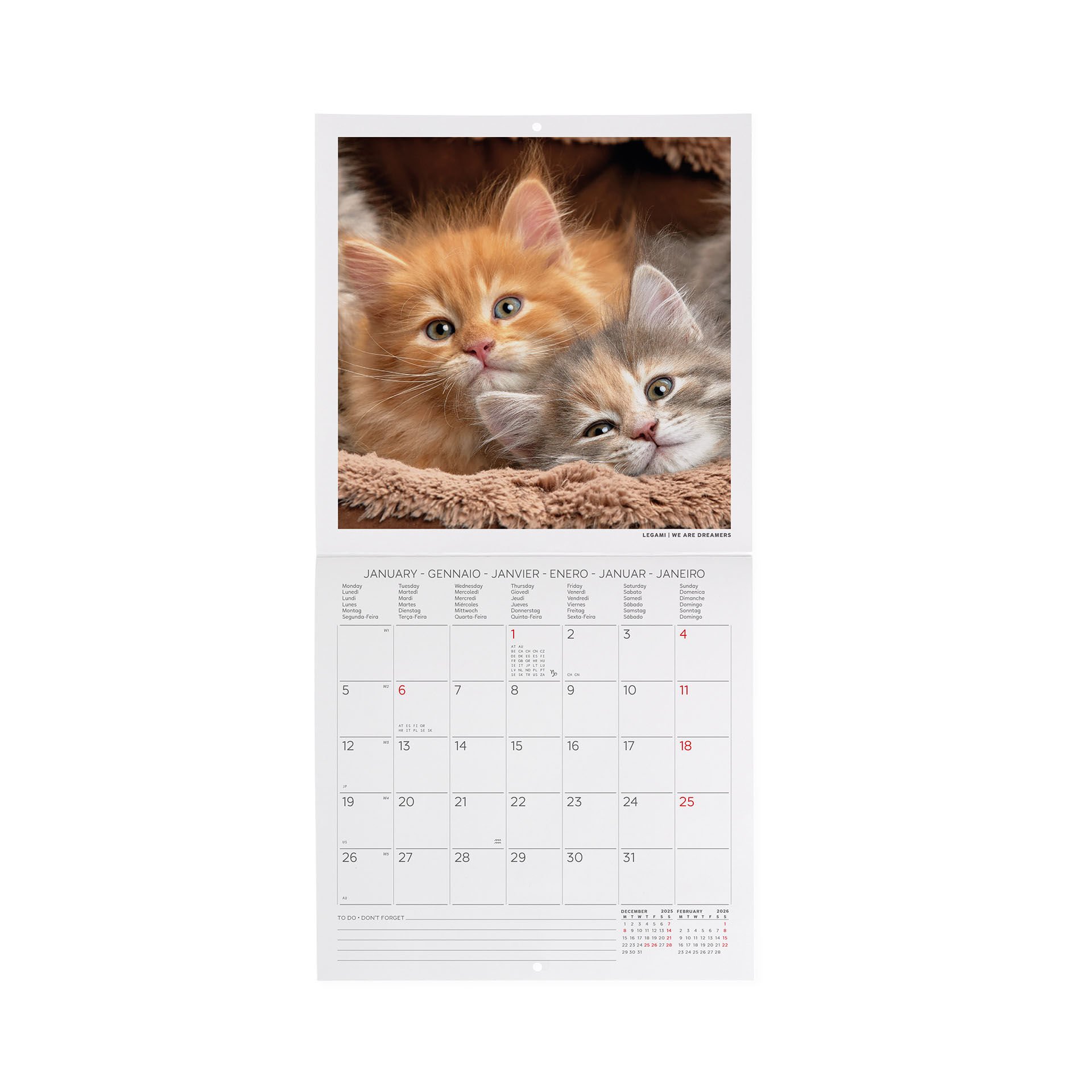 Calendrier Mural 2026 18 X 18 Cm KITTENS Legami Com CAL260100 2 