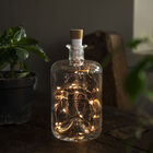 Glass Bottle with Led Lights, , zoo