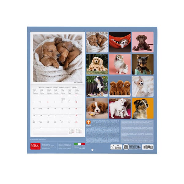 Calendario da Parete 2027 - 30 x 29 cm - Puppies