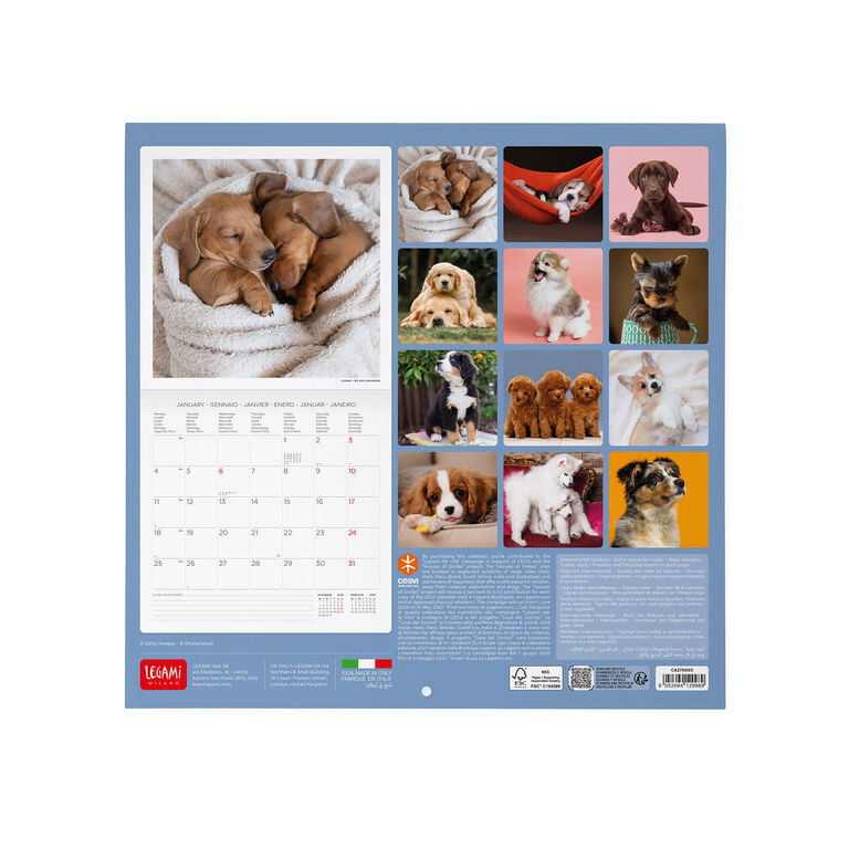 Calendario da Parete 2027 - 30 x 29 cm - Puppies Calendario da Parete 2027 - 30 x 29 cm - Puppies