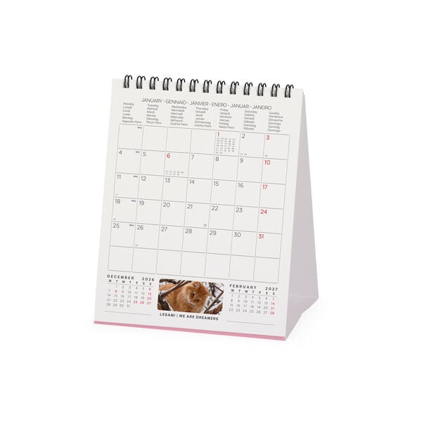 Calendario da Tavolo 2027 - 12 x 14,5 cm - Cats