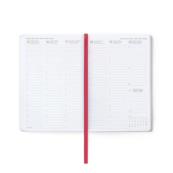 Agenda Semanal Fotográfica 2026/2027 16 Meses - Teddy Bear Pink - Medium