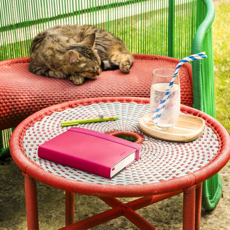 Agenda 12 Mesi Giornaliera - Medium - 2026