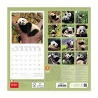 Wall Calendar 2023 - 18 x 18 Cm, , zoo