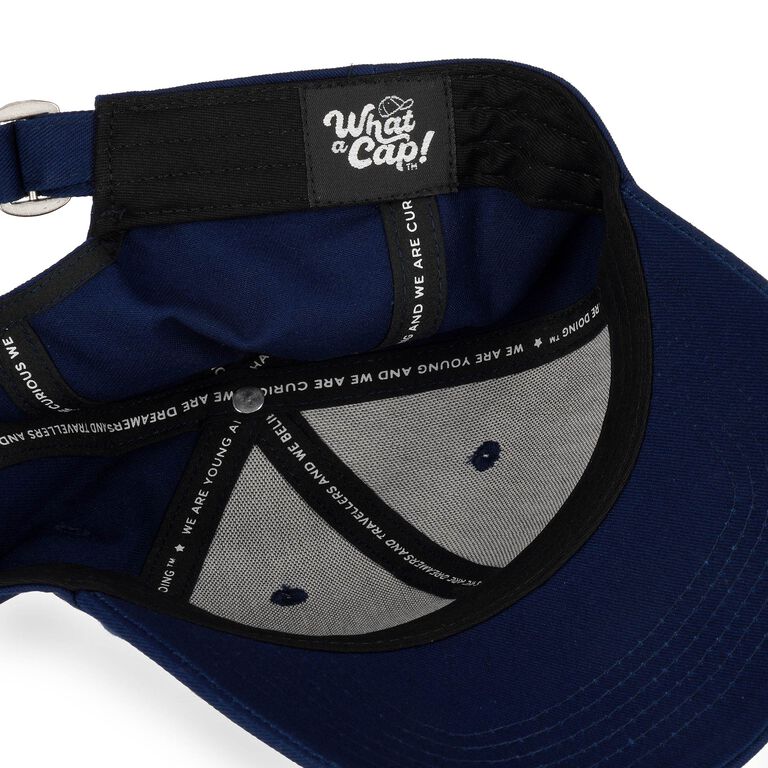 Cap - Donkey - What a Cap! Cap - Donkey - What a Cap!