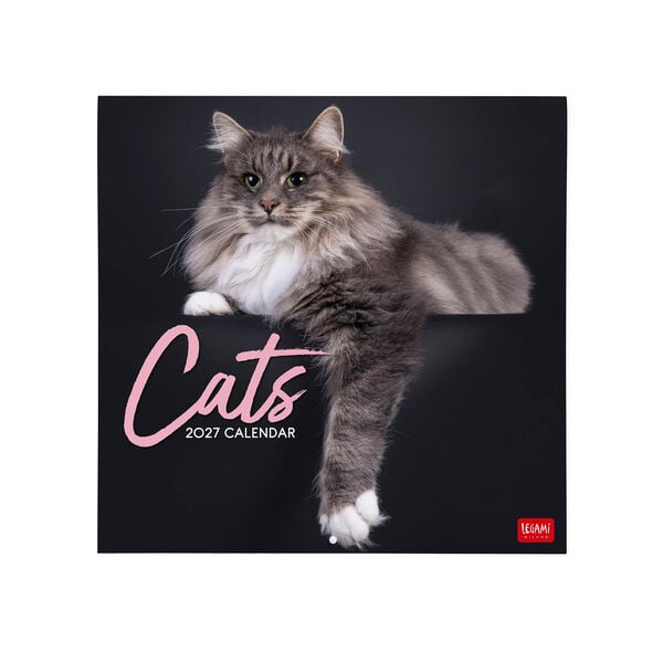 Calendario da Parete 2027 - 30 x 29 cm - Cats