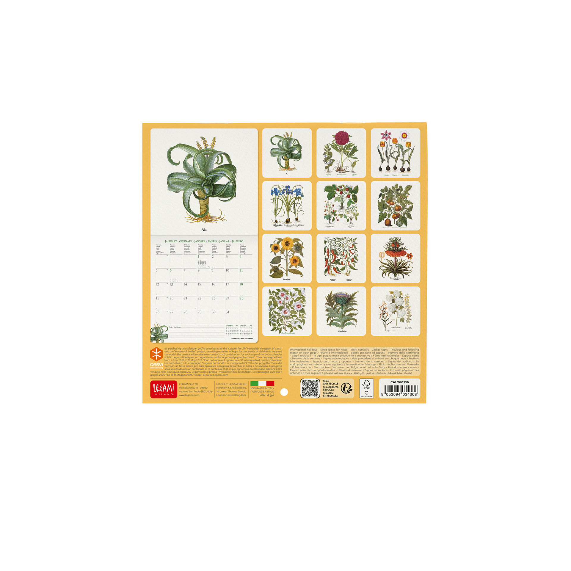 2026 Wall Calendar - 18 x 18 cm