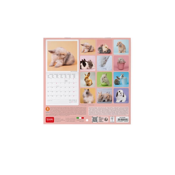 Calendario da Parete 2027 - 18 x 18 cm - Honey Bunny