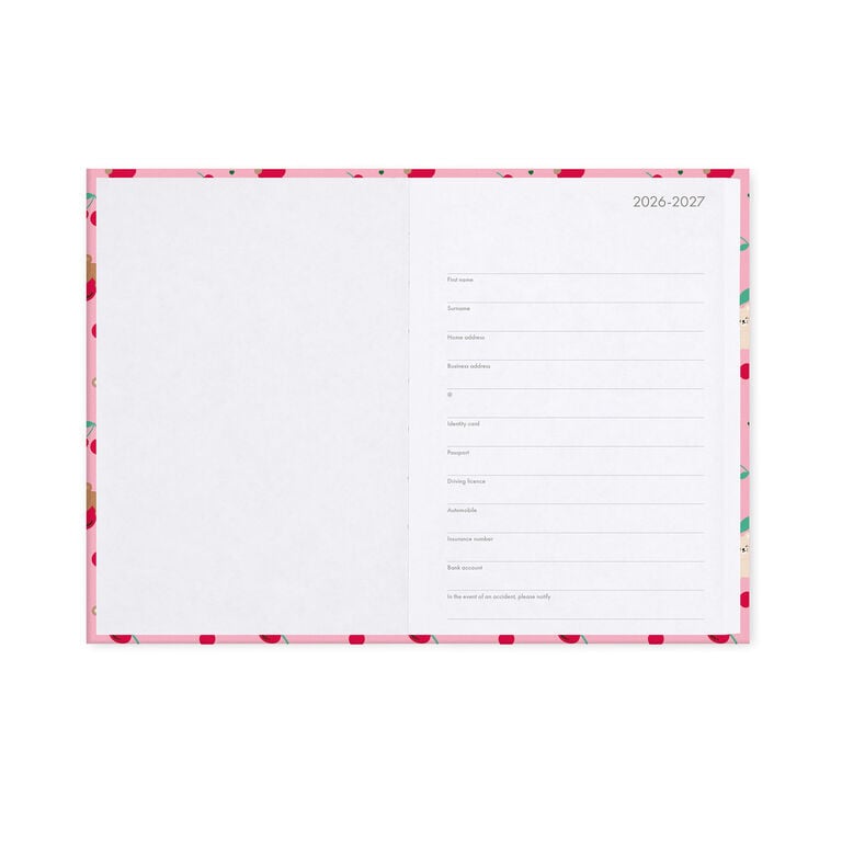 16-Month Daily Photo Diary for 2026/2027 - Teddy Bear Pink - Medium