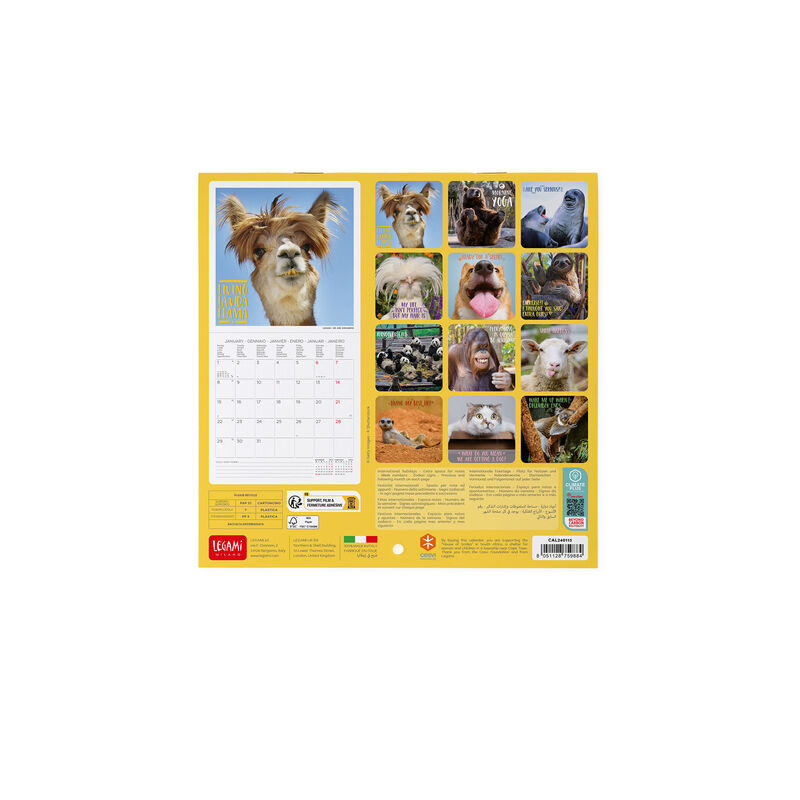Calendario da Parete 2024 - 18 x 18 Cm, , zoo