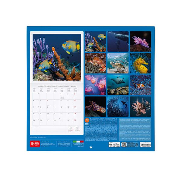 Calendario da Parete 2027 - 30 x 29 cm - Under the Sea