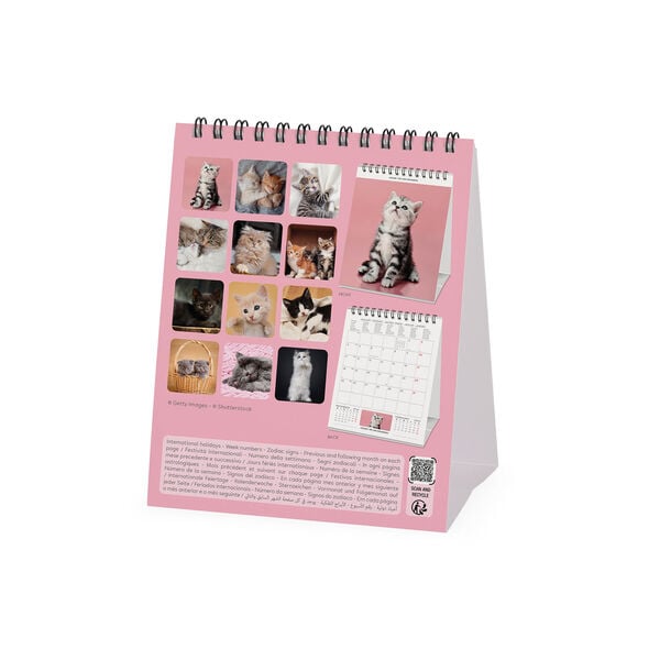 Calendario da Tavolo 2027 - 12 x 14,5 cm - Kittens
