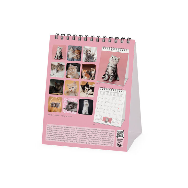 Calendario da Tavolo 2027 - 12 x 14,5 cm - Kittens Calendario da Tavolo 2027 - 12 x 14,5 cm - Kittens