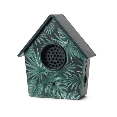 Birdsong Box - The Sound of Nature