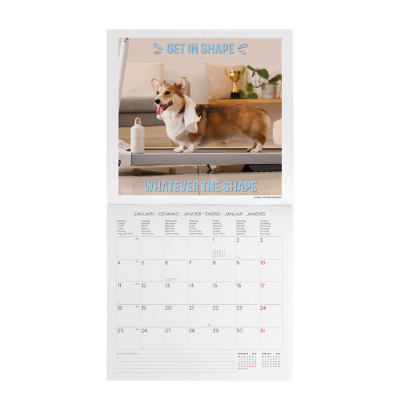 Calendario da Parete 2027 - 30 x 29 cm - Supawstar