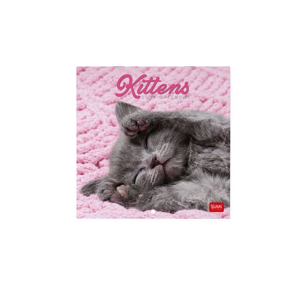 Calendario da Parete 2027 - 18 x 18 cm - Kittens