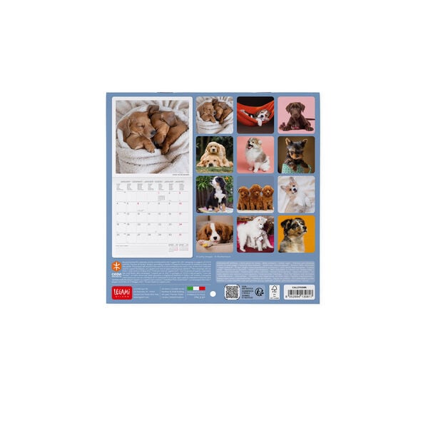 Calendario da Parete 2027 - 18 x 18 cm - Puppies