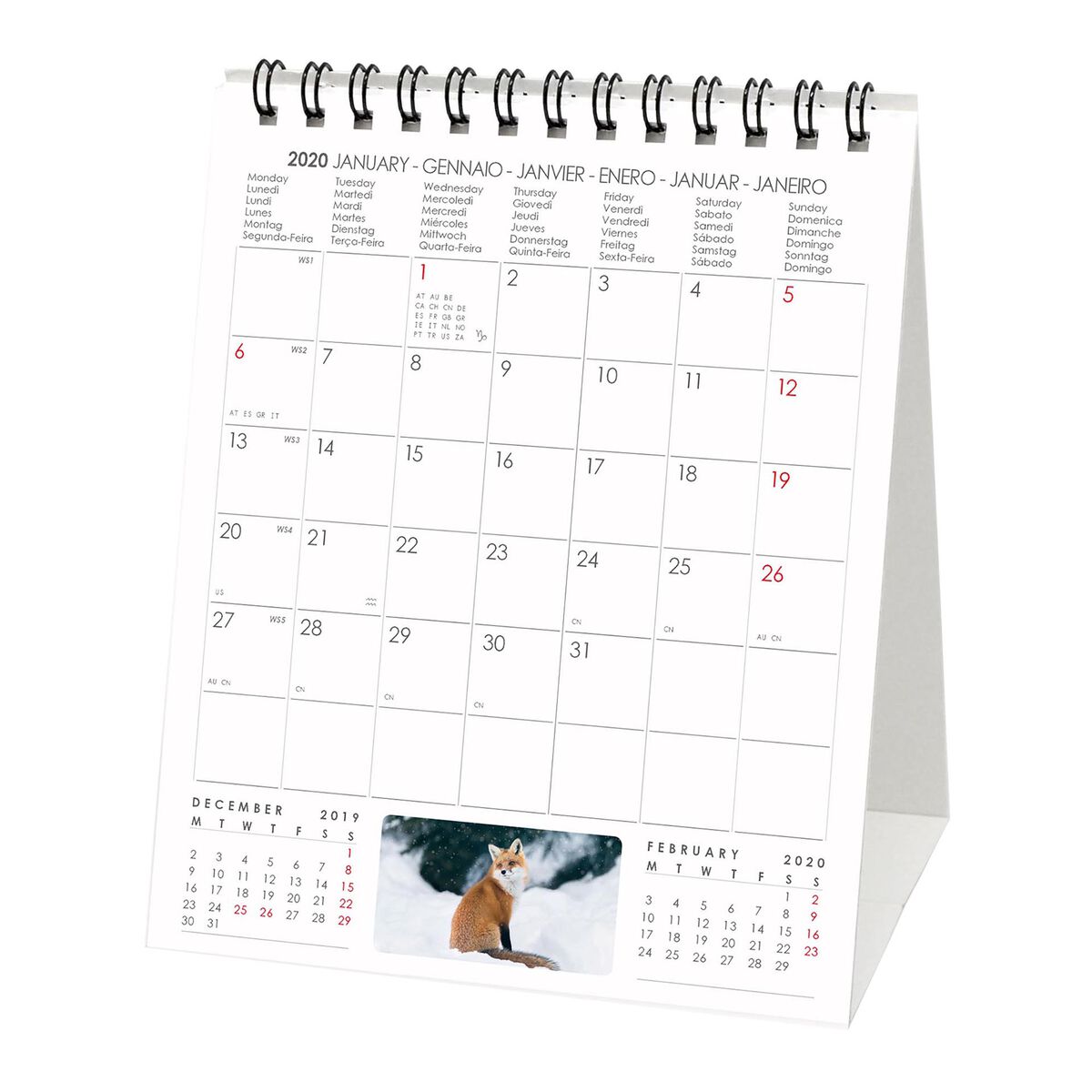 2022 - Desk Calendar - 12X14.5 Cm, , zoo