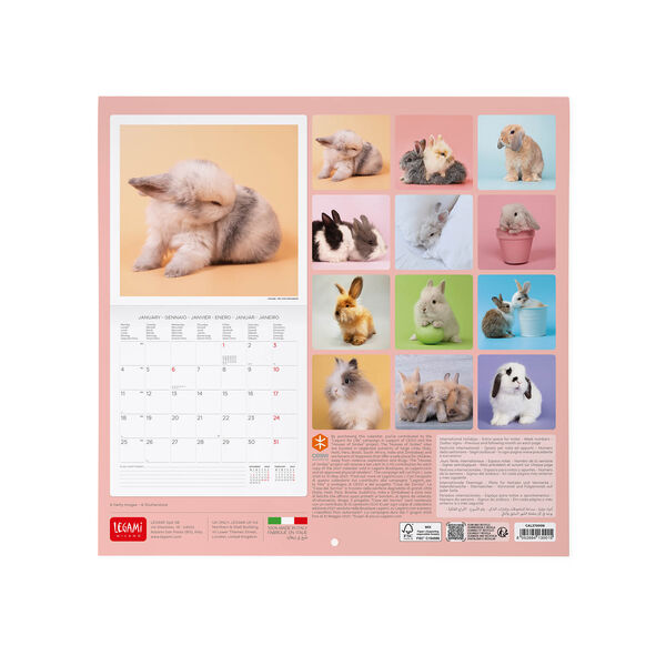 Calendario da Parete 2027 - 30 x 29 cm - Honey Bunny