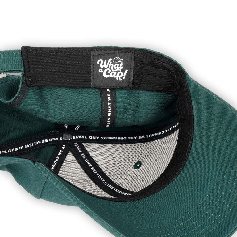 Cap - Dino - What a Cap!