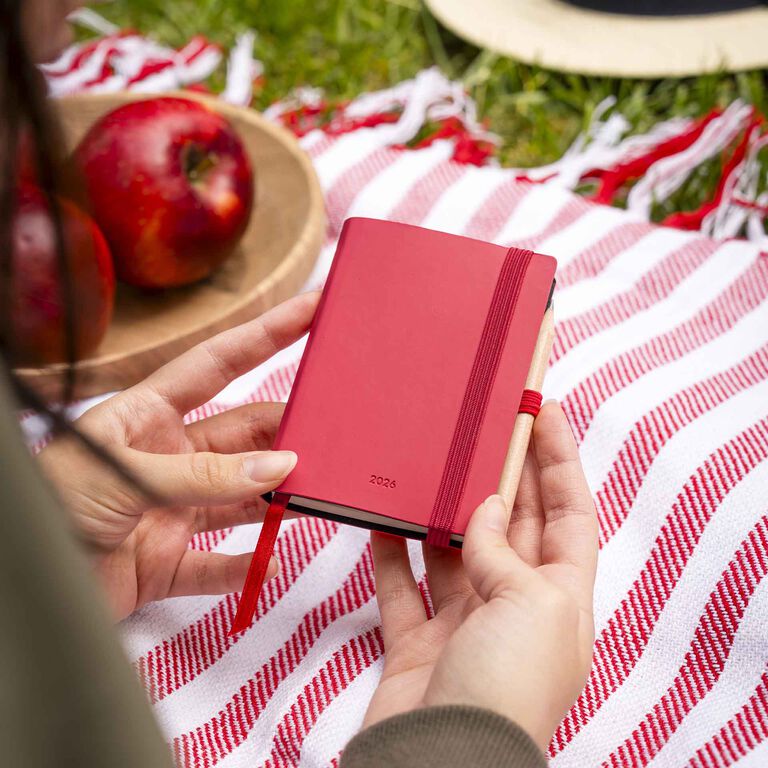 12-Month Mini 2-Day Photo Diary - 2026