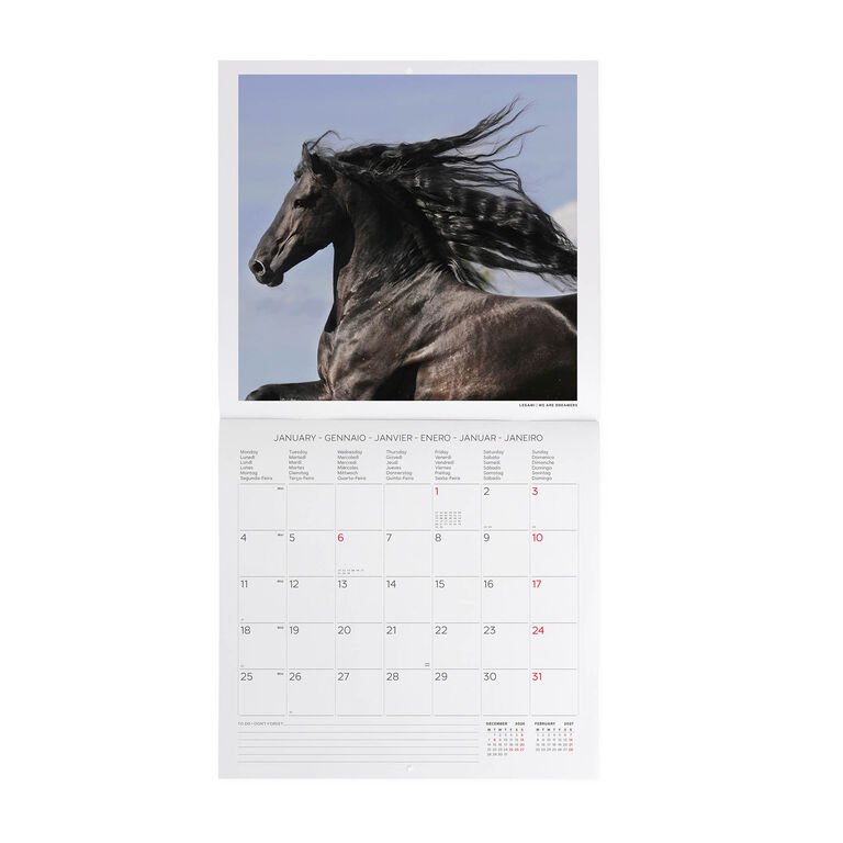 Calendario da Parete 2027 - 30 x 29 cm - Wild Horses Calendario da Parete 2027 - 30 x 29 cm - Wild Horses