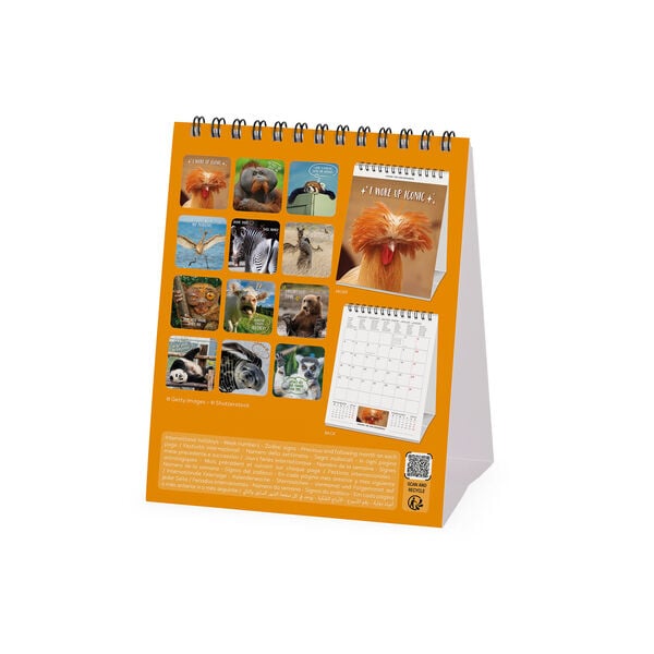 Calendario da Tavolo 2027 - 12 x 14,5 cm -Take It Easy