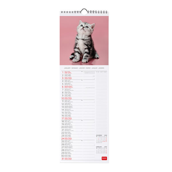 Calendario da Parete 2027 - 16 x 49 cm - Kittens