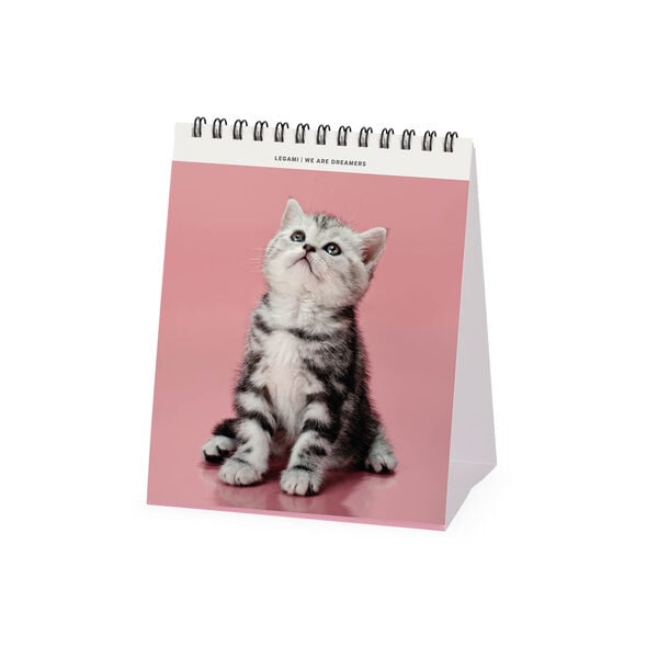 Calendario da Tavolo 2027 - 12 x 14,5 cm - Kittens