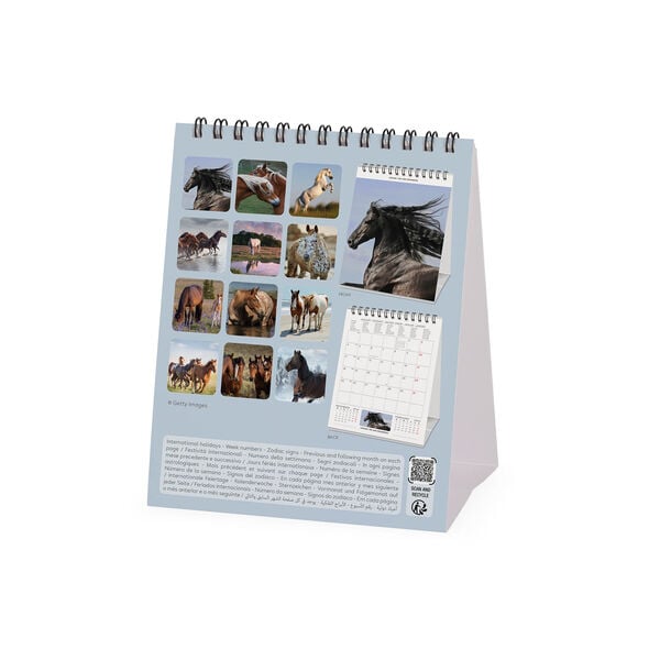 Calendario da Tavolo 2027 - 12 x 14,5 cm - Wild Horses