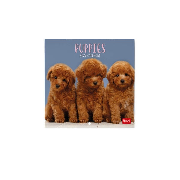 Calendario da Parete 2027 - 18 x 18 cm - Puppies