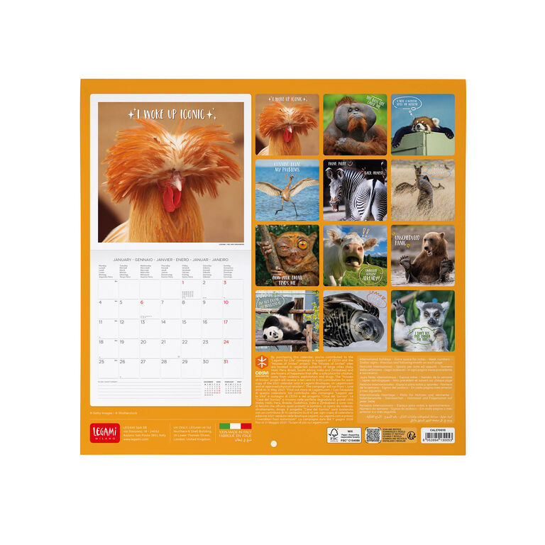 Calendario da Parete 2027 - 30 x 29 cm - Take It Easy Calendario da Parete 2027 - 30 x 29 cm - Take It Easy