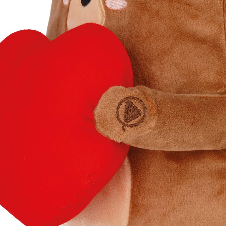 Peluche con Registrazione Vocale - Super Soft Rec&Play