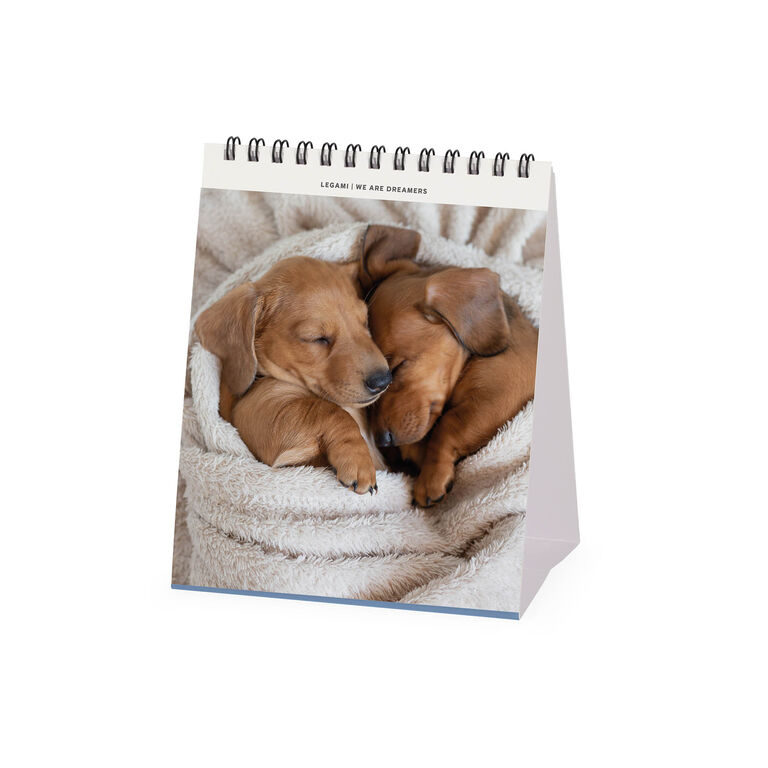 Calendario da Tavolo 2027 - 12 x 14,5 cm - Puppies